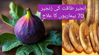 Anjeer ke fayde  Fig Benefits  Right way to eat fig  Anjeer khane ke fayde urduhindi [upl. by Norehs]