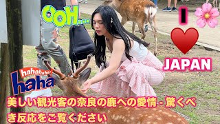 美しい観光客の奈良の鹿と の瞬間  驚くべき反応が捉 えられる 奈良鹿  nara deer  foreign tourists  奈良公園鹿  foreigner  Asmr [upl. by Daughtry]