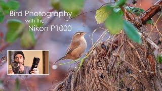 Nikon Coolpix P1000 for bird photography and birdwatching review [upl. by Love853]