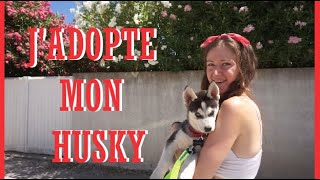 JE VAIS CHERCHER MON HUSKY   Sozo [upl. by Cointon]