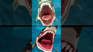 Hungry Shark Evolution  Megalodon Starving Death shorts [upl. by Eisenstark269]