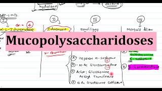 28 Mucopolysaccharidoses  Biochemistry Clinical Features Diagnosis and Treatment [upl. by Leiahtan]