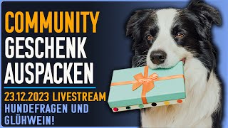 🎄🎁🍻 Ich hoffe ich lalle nicht Die Community wichtelt jedes Jahr  Geschenk LIVE auspacken [upl. by Ima]