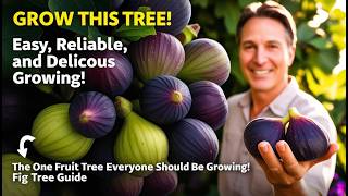 The One Fruit Tree EVERYONE Should Be Growing Easy Reliable and Delicious Fig Tree Guide 🌳🍃 [upl. by Duwalt]