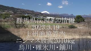 群馬県渓流釣り情報 2023319 上州漁協管内 ニジマス放流2010ｋｇ烏川．碓氷川．鏑川 [upl. by Spearman343]