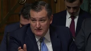 WATCH Ted Cruz John Cornyn Dianne Feinstein Chuck Grassley debate investigation procedure [upl. by Lierbag]