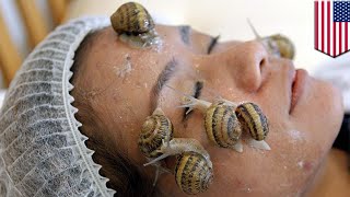 Lendir siput untuk kecantikan kini snail cream memasuki pasar Amerika  Tomonews [upl. by Ierna]