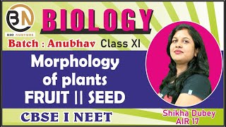 MORPHOLOGY OF FLOWERING PLANTS FRUIT  SEED  CLASS XI BIOLOGY NEET 2025 ANUBHAV [upl. by Bendix]