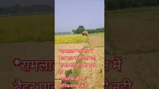 Ramlal ka videoshortvideo shortsviral newmusic realestate news travel jungali [upl. by Locke]