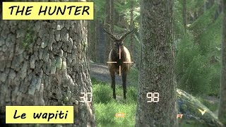 THE HUNTER Carton plein sur les wapitis HD 1080p FR [upl. by Ferde]