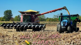 2022 CORN HARVEST 🌽 CASE IH 8250 COMBINE HARVESTING CORN [upl. by Michael]