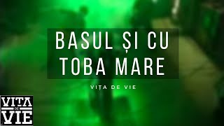 Vita de Vie  Basul si cu Toba Mare  Videoclip OFICIAL [upl. by Dnomse463]