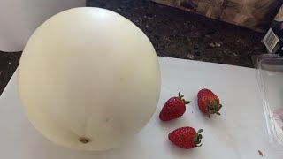 Irene Bee View Vlogger is live Lets Peel Rock Melon amp strawberrypeel rockmelon yummy [upl. by Meekar494]