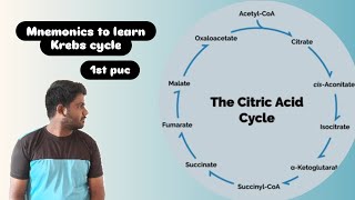 Mnemonics to learn KREB CYCLE in Kannada  TCA CYCLE  CITRIC ACID CYCLE Trick credits  VIPIN SIR [upl. by Per283]