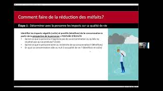 La réduction des méfaits dans le cadre de l’intervention psychosociale version jeunesse [upl. by Torry270]