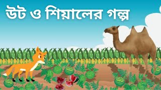 নির্বোধ শিয়াল এবং উট  siyal  siyal cartoon  দুষ্ট শিয়ালের সাজা  উট  শিয়াল [upl. by Corron190]