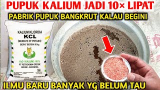 Rahasia membuat Pupuk Kcl dan Kno3 Lebih dahsyat Cara membuat pupuk organik kalium tinggi [upl. by Haletky]