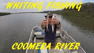 COOMERA RIVER WHITING 15TH DEC 2023 [upl. by Eladnar515]