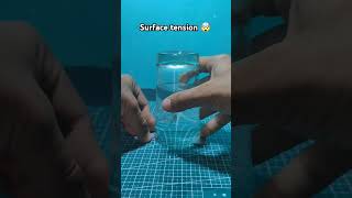 Surface tension physics experiment surfacetension scienceexperiment diy surfacetension shorts [upl. by Atinra177]