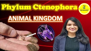 Ctenophora Animal kingdom  NEET  class 11 chapter 4  neet2025preparation [upl. by Neve263]