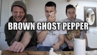 EXTREME PEPPER REVIEW The Chocolate Bhut Jolokia Ghost Pepper [upl. by Anbul613]