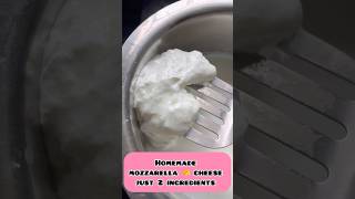 Mozzarella cheese 🧀 making just 2 ingredients cheese manamwithsathya ytshort [upl. by Cronin]