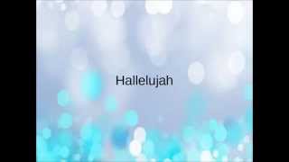 NewSpring Worship  Agnus Dei lyrics [upl. by Mahalia568]