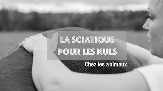 LA SCIATIQUE DES ANIMAUX pour les nuls [upl. by Hannahs]