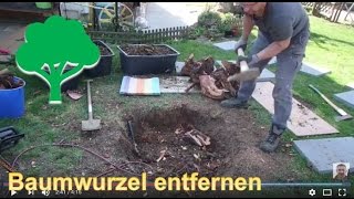 Wie macht man einen Baumstumpf im Garten raus [upl. by Carmelle]