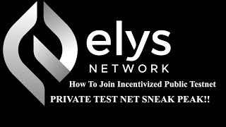 ELYS Network  Private Test net Sneak peak  How to join Incentivized Testnet [upl. by Ordnazil828]