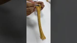 Tibia Anatomy practical  PT [upl. by Dail]