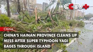 Chinas Hainan Province Cleans up Mess after Super Typhoon Yagi Rages through Island [upl. by Sabu]