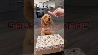 Funny “SAUSAGE GAME” with puppy🐶 puppy fun game funny dog dogs play pets shorts funnydogs [upl. by Silvan]