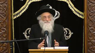 Rav Moshe Meiselman Walder Is A Rasha Merusha [upl. by Dyke824]