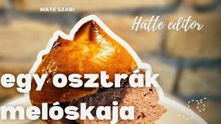 🔴A SÓGOROK FASÍRTJA  a LEBERKÄSE [upl. by Neffirg]