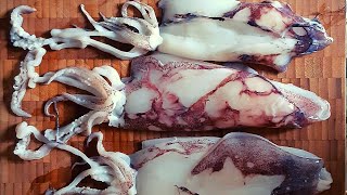 Encornets à la provençale  Provencalstyle squid [upl. by Aihtibat408]