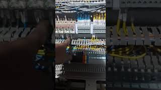 Mpcb connection power wiring starer connection with plc wiring kaise kare how to plc conne pcwire [upl. by Ahsinet556]