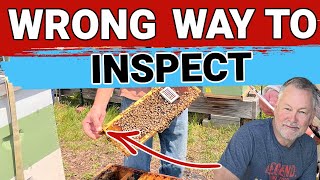 Beekeeping Inspection  5 Wrong Ways To Inspect Your Hive [upl. by Federico]