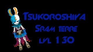 Dofus Tsukoroshiya Sram terre lvl 13x [upl. by Icak]