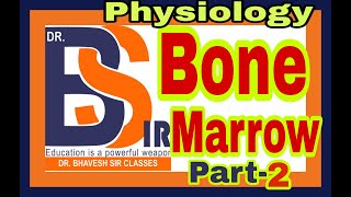 Function of Bone Marrow  Blood  Human Physiology  DrBhavesh Sir Classes [upl. by Anahsak]