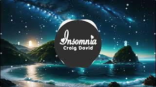 Craig David  Insomnia  DJ FunkyHouse Remix [upl. by Imelida]