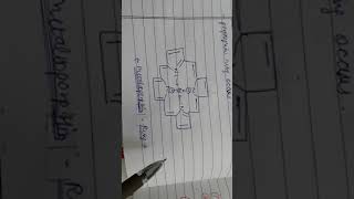 DIfference between PORPHIN and PORPHYRIN RING [upl. by Yerffej902]