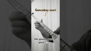 orhangencebay youtubeshorts gencebay divanbaglama saz ozanturani [upl. by Sorel187]