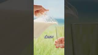 🌶️ El Agua No Alivia el Picante 🚫💧 datoscuriosos sabiasque curiosidades [upl. by Avigdor101]