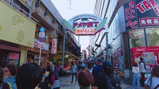 Ameyoko Shopping District Walk  Ueno Taito City Tokyo Walking Tour Nov 2023 [upl. by Livingston743]