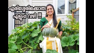 എരിശ്ശേരി ഉണ്ടാക്കാൻ എളുപ്പവഴി  Kerala Erissery with Pumpkin  Kerala Sadya Recipe [upl. by Roz]