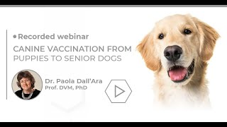 EN Biogal Academy  Dr Paola DallquotAra Canine Vaccination from Puppies to Senior Dogs [upl. by Darcee]