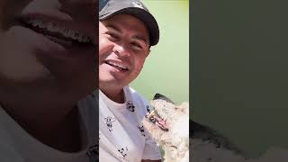 Alimentando perritos de la calle Orlando Santiago Vlogs [upl. by Imas]