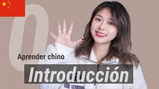 Introducción al idioma  Mandarín para principiantes  Aprender Chino 🍍 [upl. by Wildon]