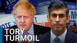 Why Boris Johnson’s resignation puts the Tories in ‘political turmoil’  Vernon Bogdanor [upl. by Blunk887]